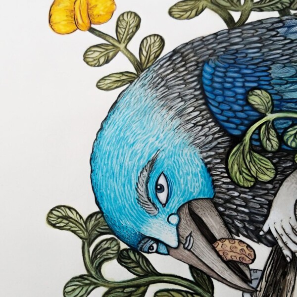 Scrub Jay by Poxodd (detail)