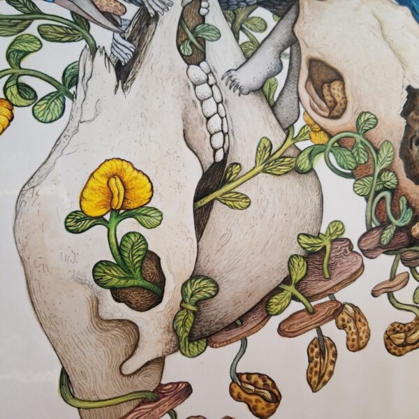 Scrub Jay by Poxodd (detail)