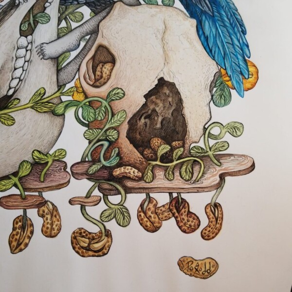 Scrub Jay by Poxodd (detail)