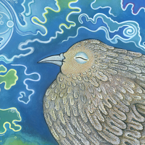 Nest of Strings cropped and zoomed