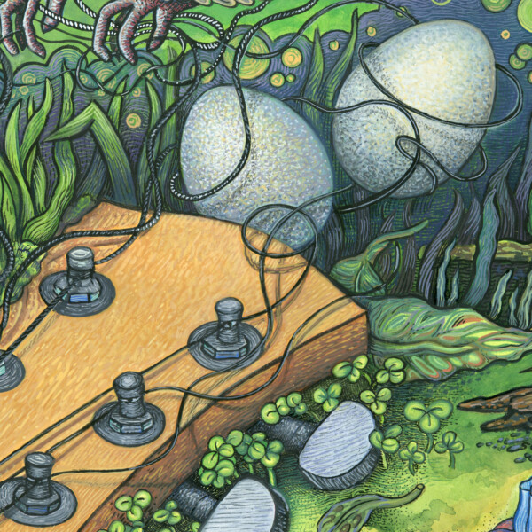 Nest of Strings cropped and zoomed